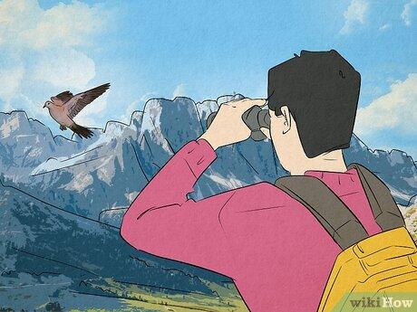 پرنده‌نگری به شما کمک می‌کند از حیات‌وحش محلی لذت ببرید و درباره آن بیشتر یاد بگیرید.